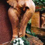 Ирина и Алексей — WedTour